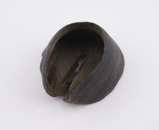Horse's hoof from Portslade forge, Sussex, Britain, 1890-1930