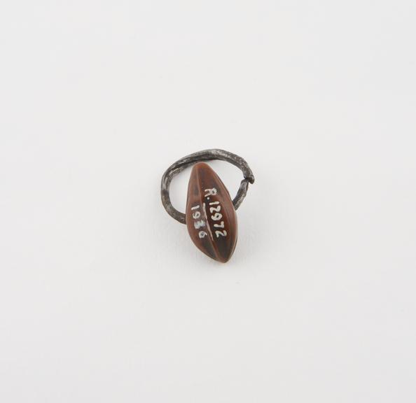 Medicine man's ring made of lanceolate nut on iron ring, Congo