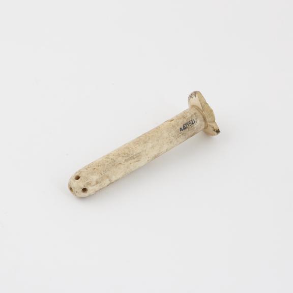 Bone nozzle only, from a vaginal syringe, perforated