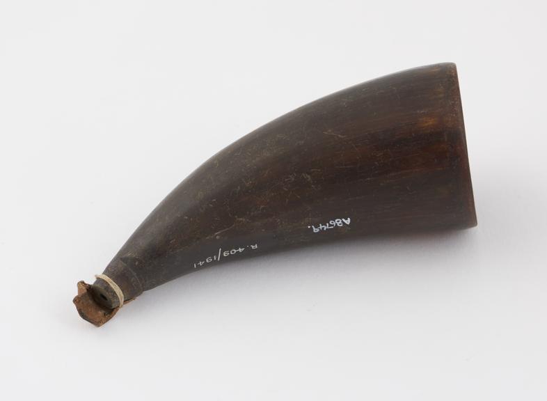 Cupping horn, barber surgeon's, tortoisehsell