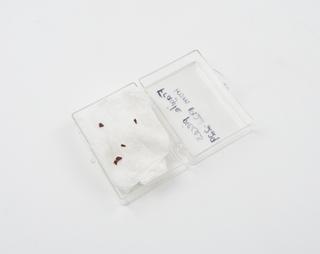 Fragments of a Three-nail microphone, 1875-1880