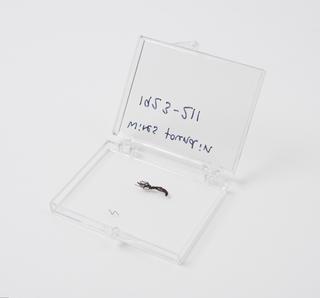 Fragment of National Telephone Company telephone receiver