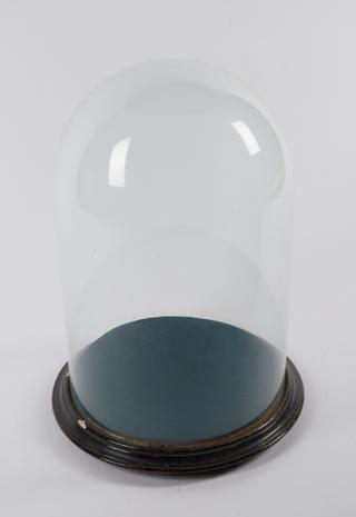 Domed Case for compound microscope