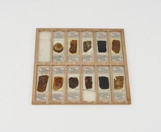 Coal microscope slides