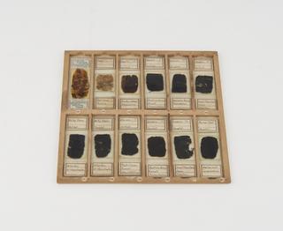 Coal microscope slides