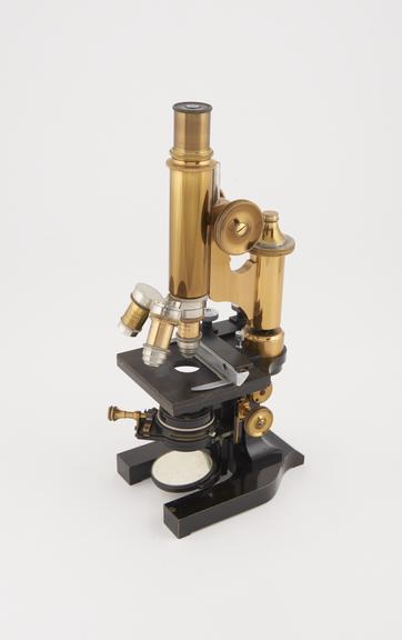 compound microscope