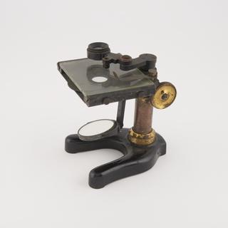 Dissecting Microscope
