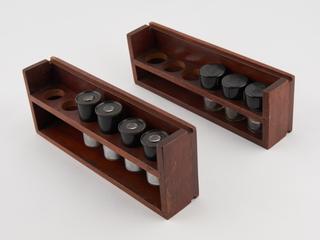 W. Watson Bactil Microscope