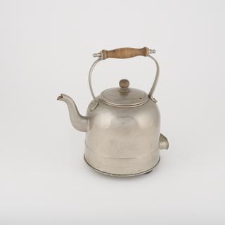 Nickel plated electric kettle