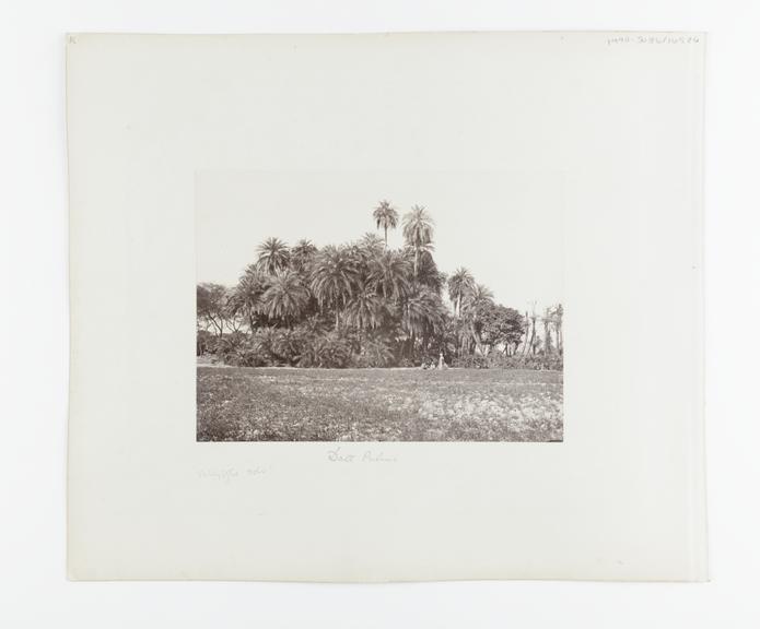 Albumen print by Samuel Bourne