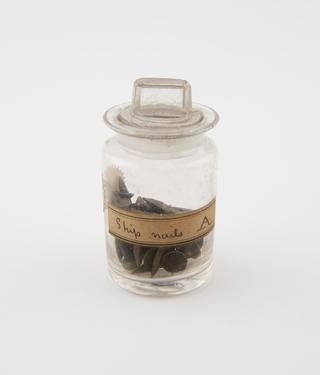 Brass ships' nails