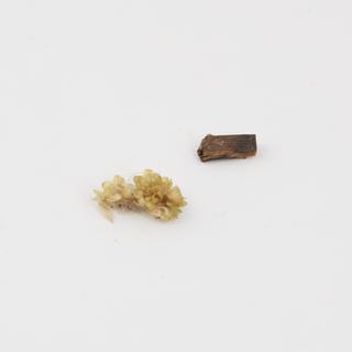 Sections of wax vanitas, Europe, 1701-1800