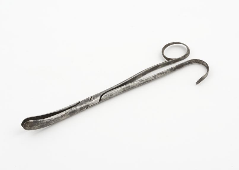 Small, curved lithotomy forceps with cross-action shanks, steel