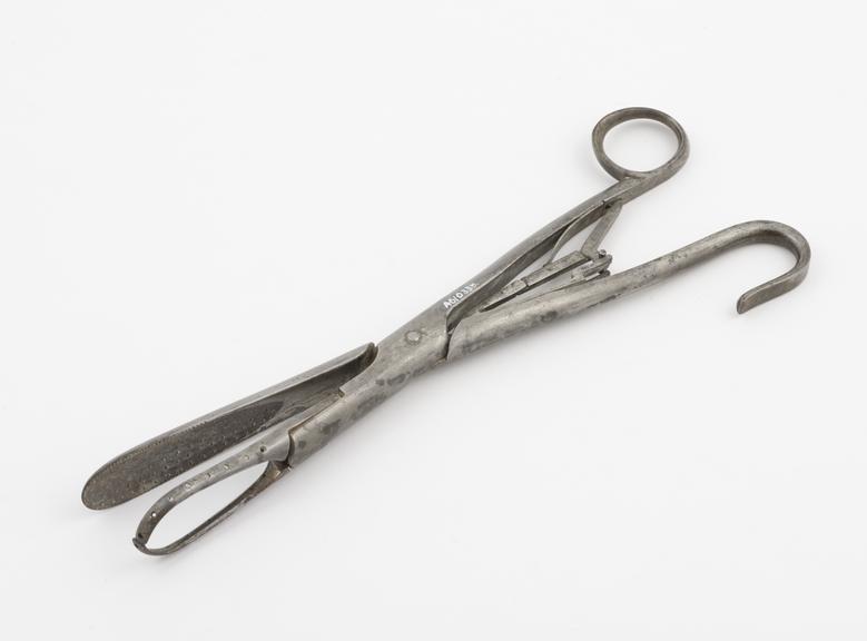 Unusual, straight lithotomy forceps