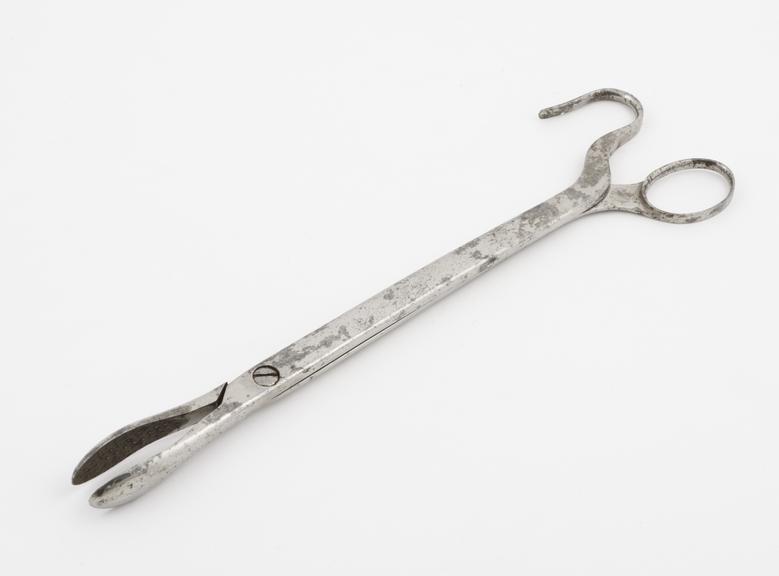 Large, straight, forceps with cross-action long shanks