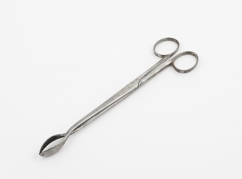 Lithotomy or bullet forceps