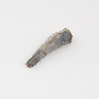 Flint striker, from Litlington, one of nine, all from South Downs, Sussex, England