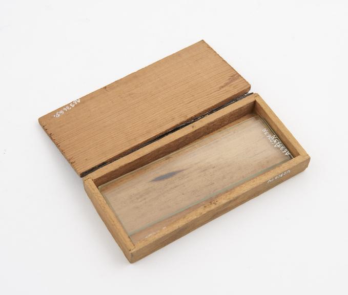 Pair of blank glass microscope slides, boxed