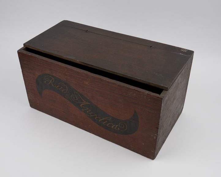 Medicine chest, for rad angelica, oak and mahogany, empty