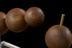 Five wooden molecular model balls