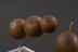 Five wooden molecular model balls