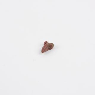 Small red stone bead carved in form of male genitalia