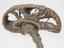 Model of a human brain, sectioned, French