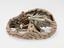 Model of a human brain, sectioned, French