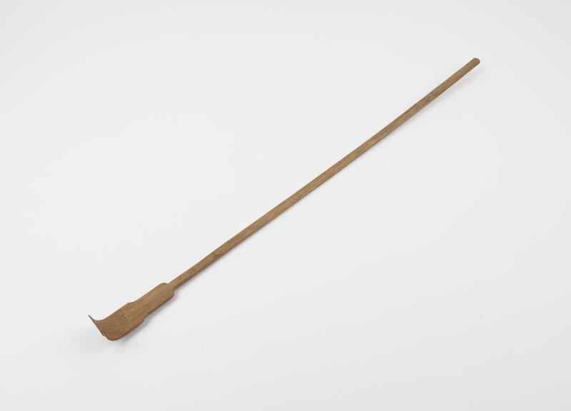 Cane back scratcher, in form of a long stem