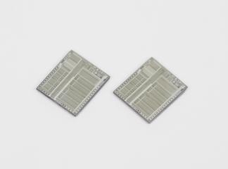 Two unpackaged Geometry Engine Chips