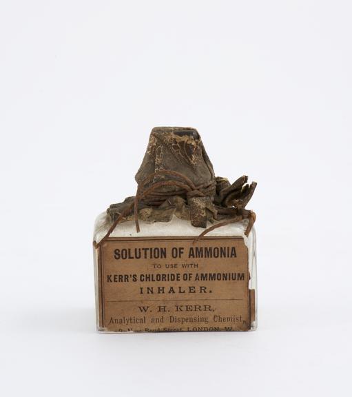 Bottle, Solution of Ammonia, W.H. Kerr