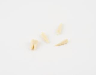 Bag of 4 spare plastic teeth from a skull used for training and demonstration purposes