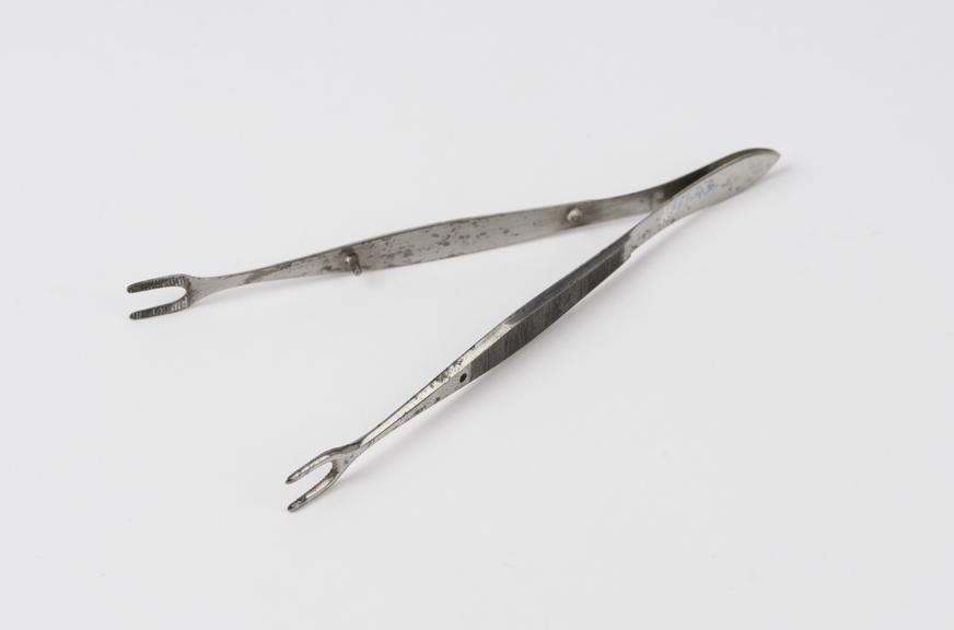 Ophthalmic forceps, by Luer, French, 19th century