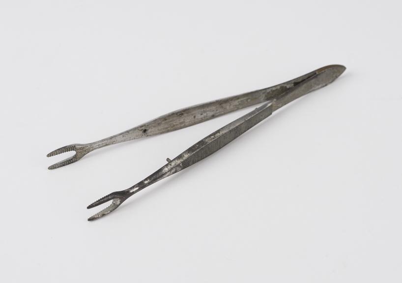 Ophthalmic forceps by Luer, French, 19th century