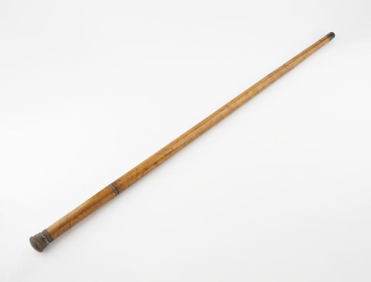 Physician's walking stick, cane