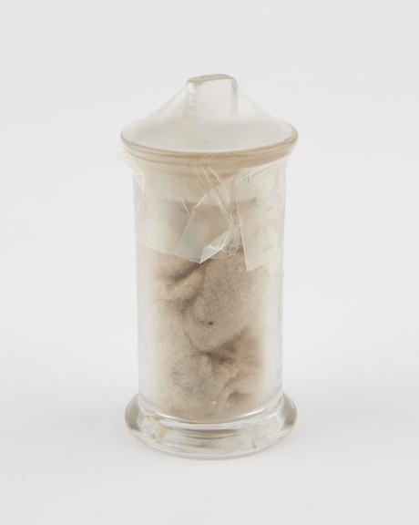 Glass specimen jar containing cotton wool formerly soaked in