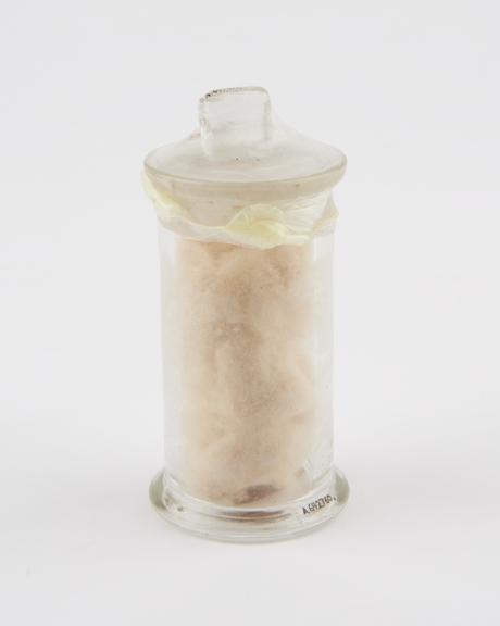 Glass specimen jar, containing cotton wool formerly in benzene