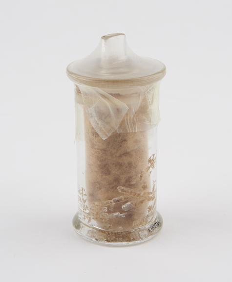 Glass specimen jar, containing cotton wool and carbolic acid