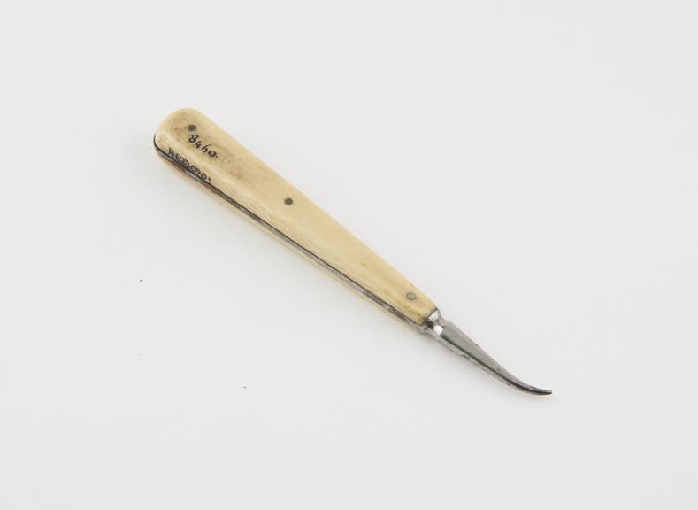 Dental stopper, steel with rivetted ivory handle, English