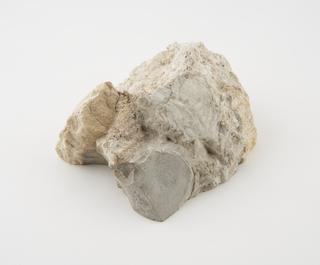 Specimen of stone from old St. Pauls Cathedral