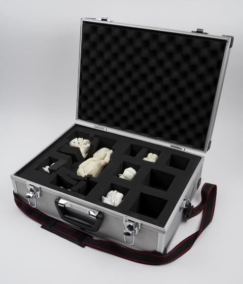 Case to transport teaching set of 3D printed models of fetal