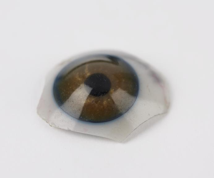 White glass artificial eye, broken, English (?), 1901-1950