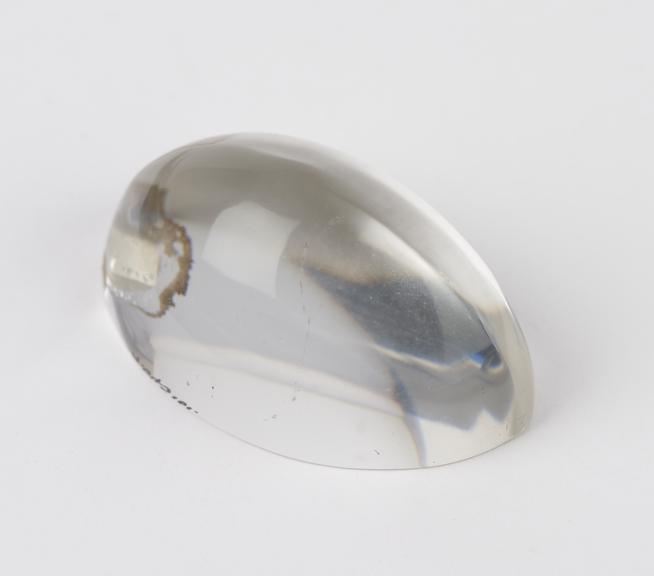 Sectioned glass lens from a demonstration model of an eye