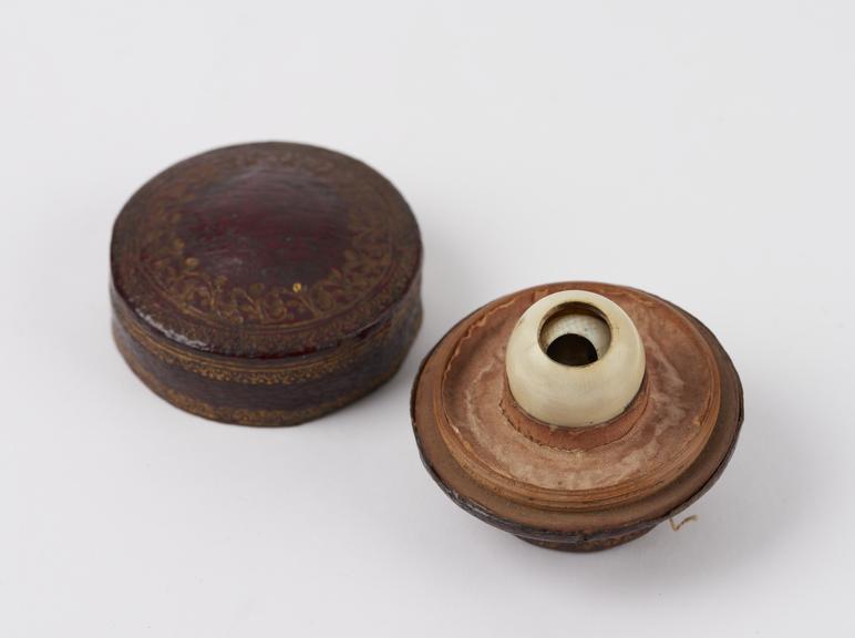 Ivory and horn model of an eye, in leather covered box