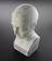 Earthenware phrenological bust