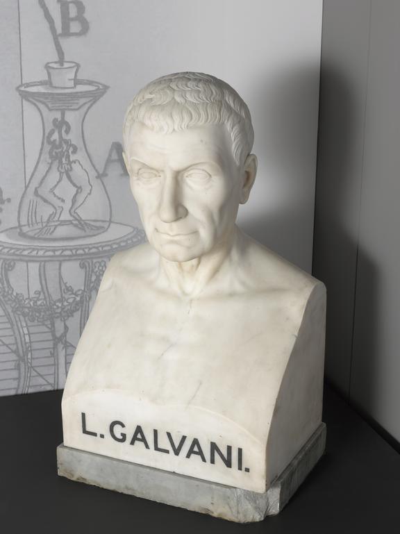 Marble bust of "Galvani" as displayed in the Mind Maps