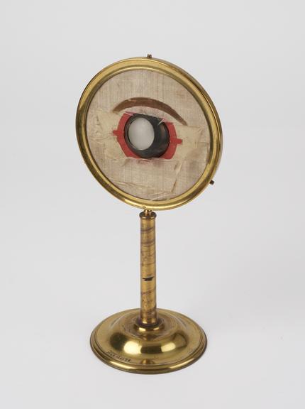 Demonstration model of an eye, mounted on brass stand