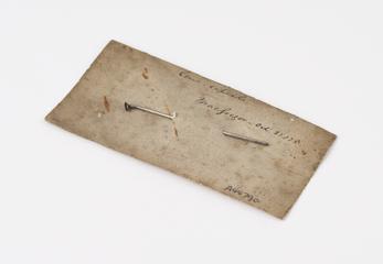 Lachrymal style attached to envelope