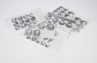 Associated offprints documenting the motility studies