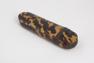 Hinged cap spectacle case